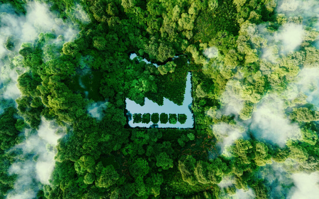 PLAN AMBIENTAL 2025